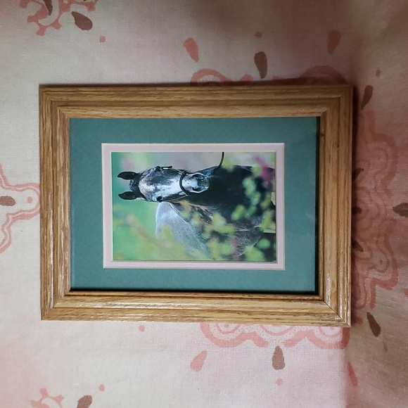 Framed Horse Print Caballo Pony Cowgirl - Picture 11 of 11